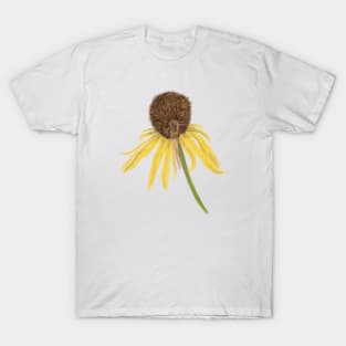 Kiwi + Coneflower T-Shirt